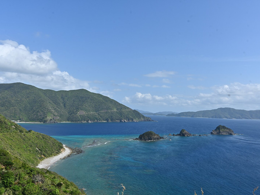 Nishikomi Observatory Site Park景点图片