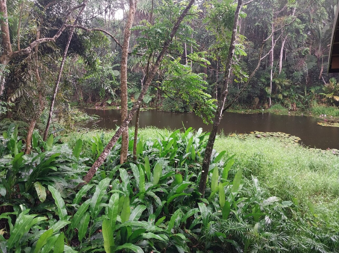 Rainforest Eco Lodge主图