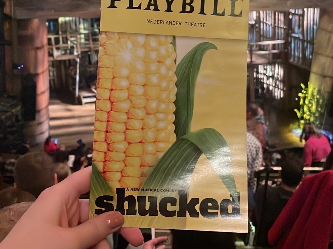 倪德伦剧院-纽约市必去景点