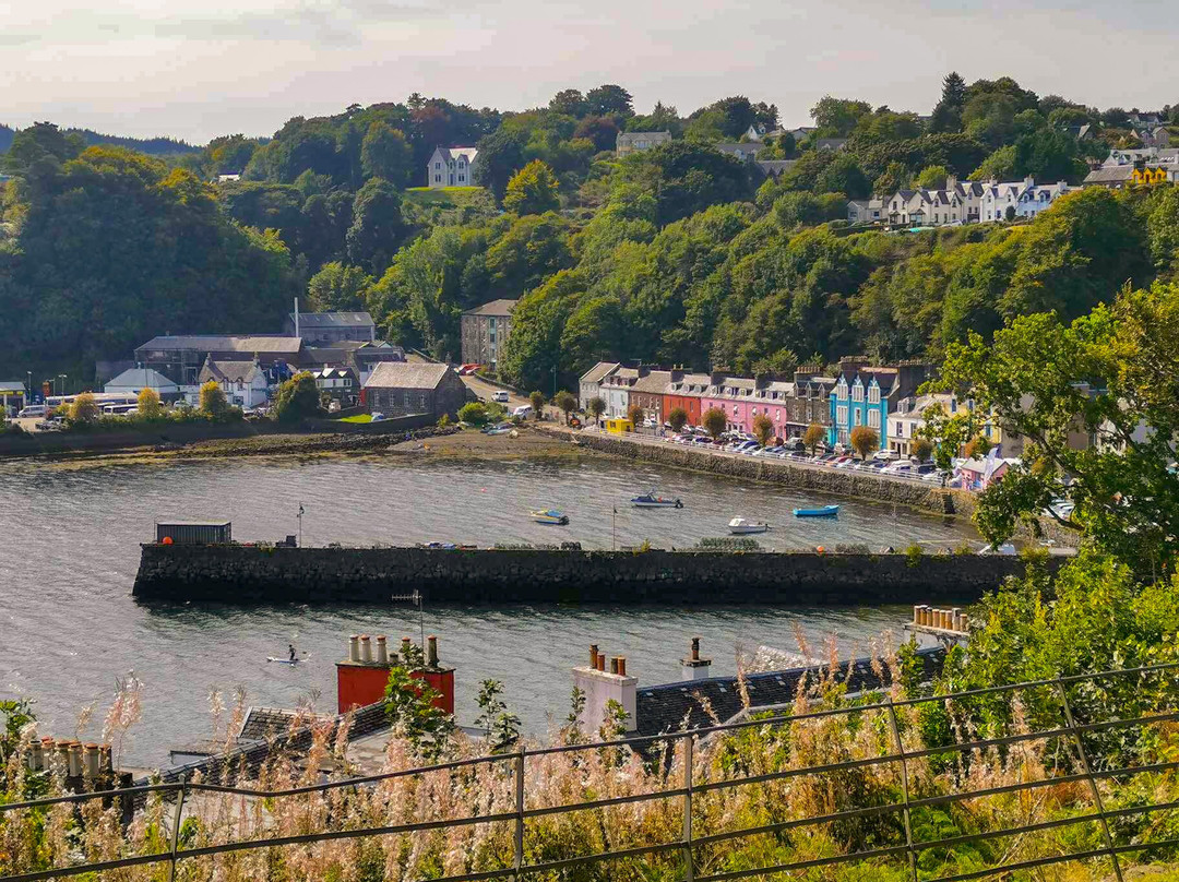 Tobermory Bay-Tobermory必去景点