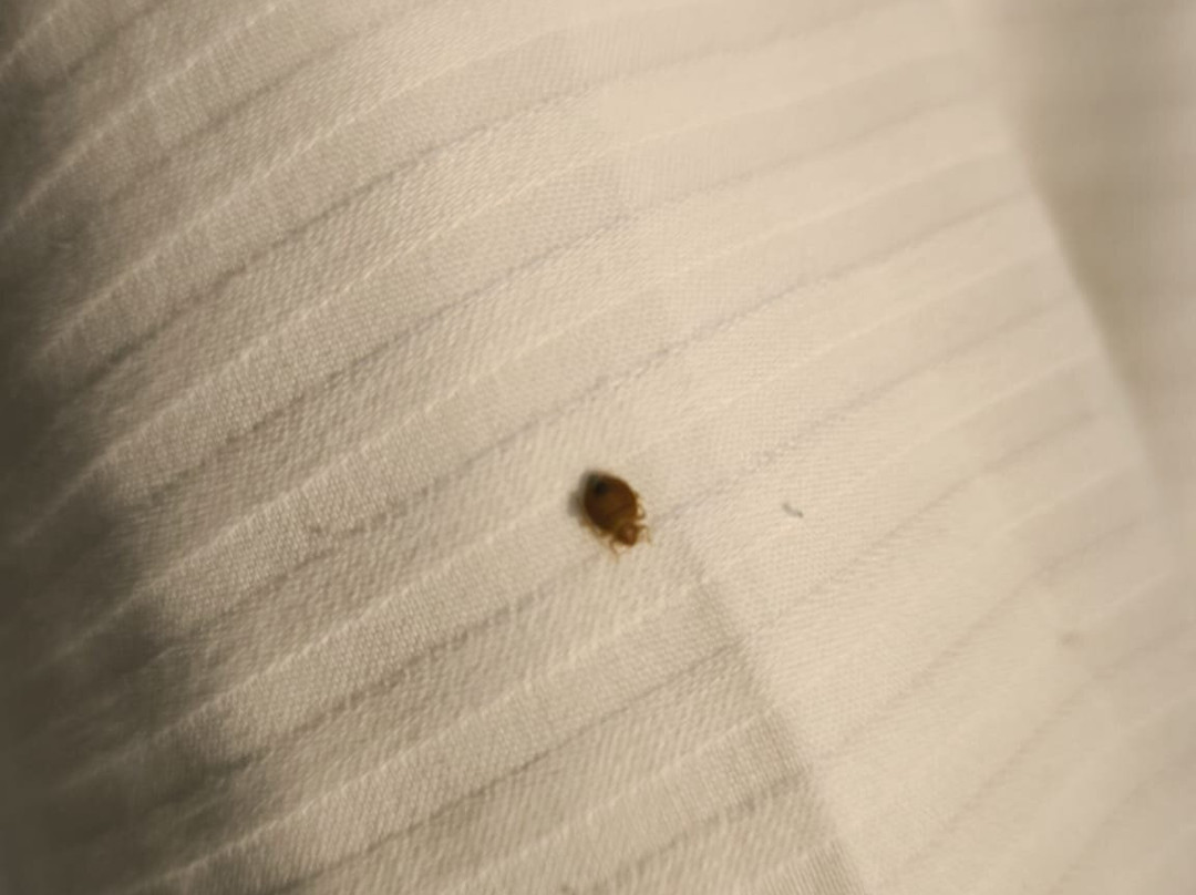 Jura Hotels Afyon Thermal主图