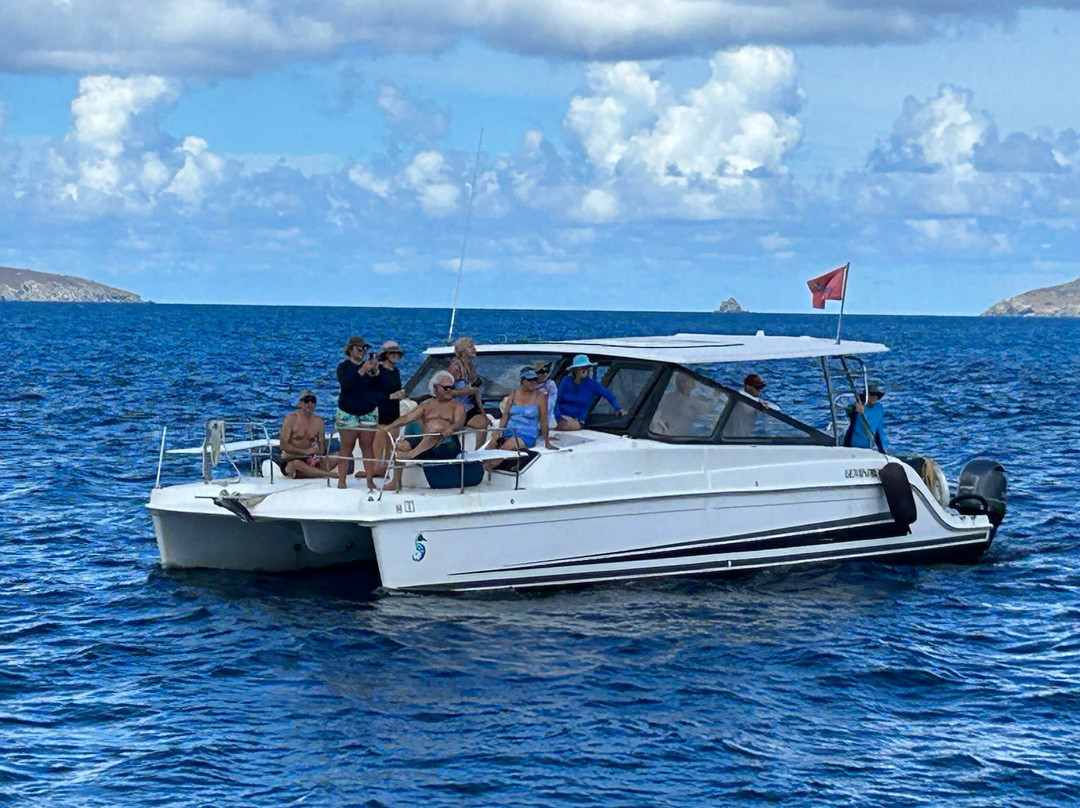 Point Pleasant Resort主图