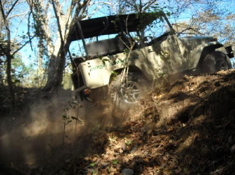 Jungle Adventures-塔马林多必去景点