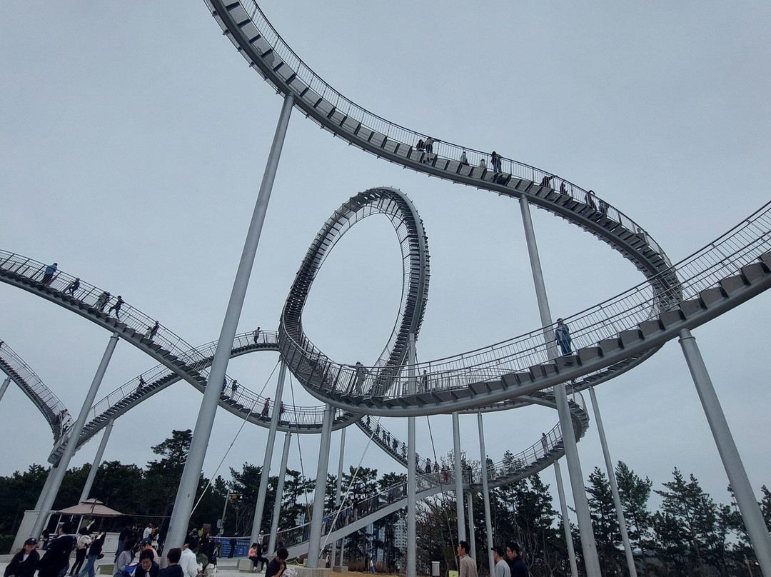 Hwano Park Space Walk-浦项市必去景点