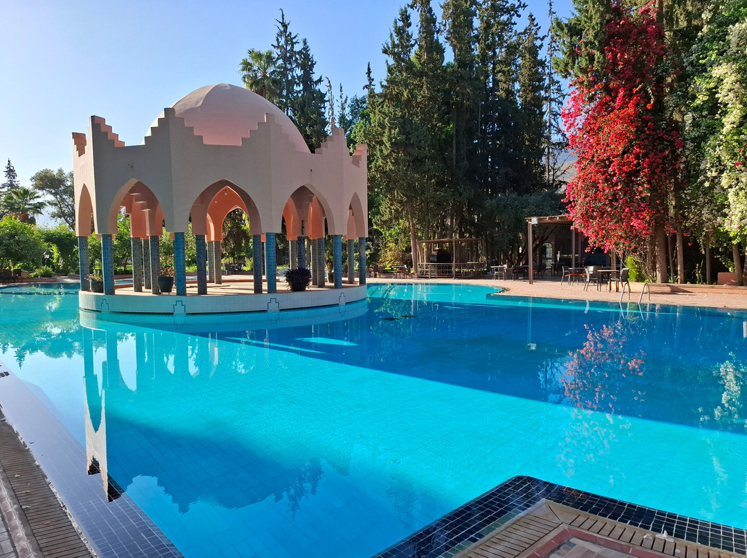 Chems Le Tazarkount主图