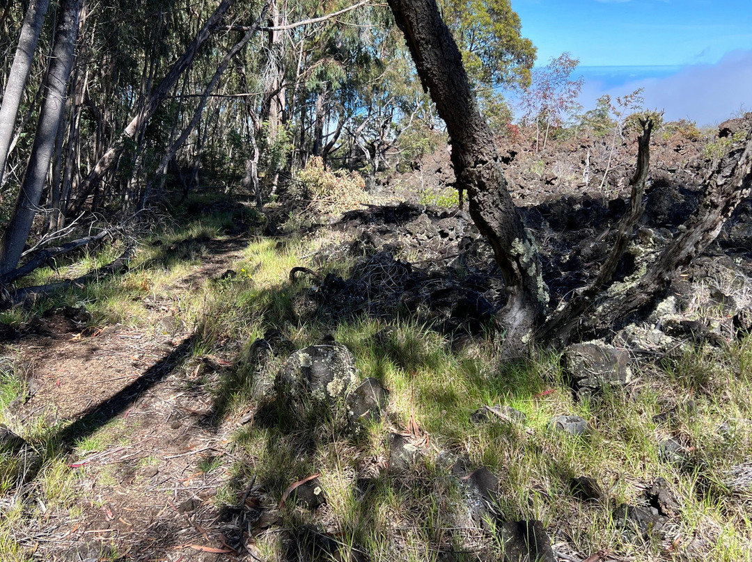 华拉来山-凯鲁瓦-柯纳必去景点