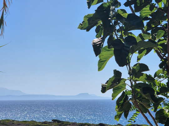 Compass Transfer & Travel services