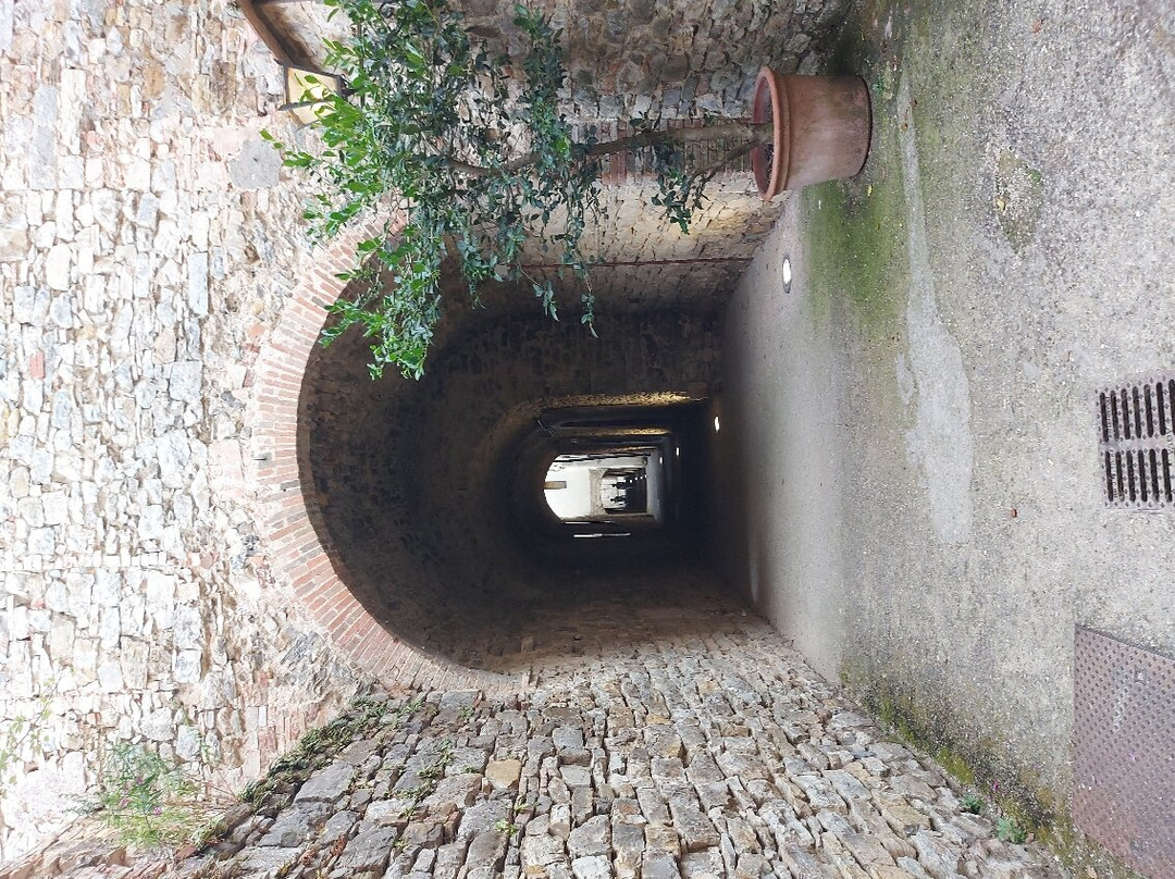 Via delle Volte-卡斯特利纳－因基安蒂必去景点