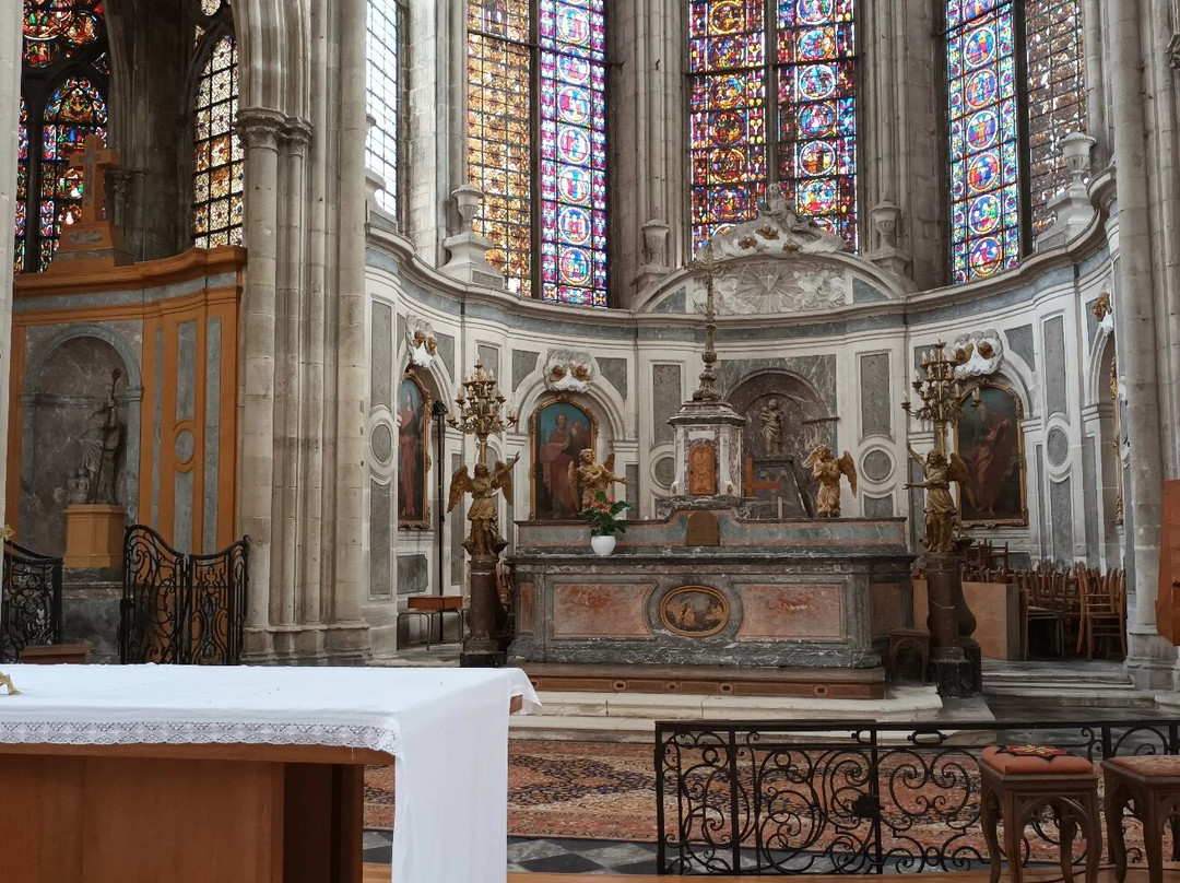 Collégiale Saint-Gengoult景点图片
