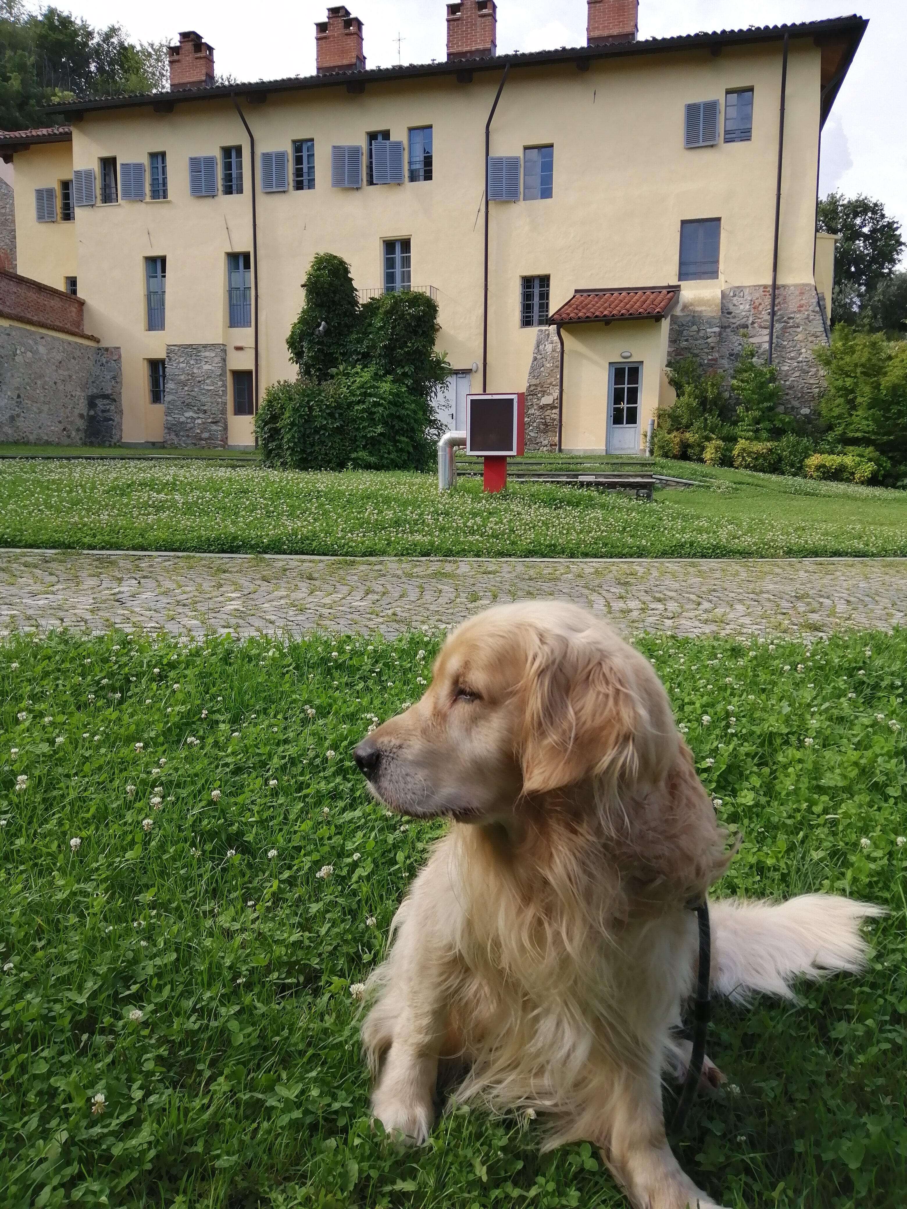 Certosa 1515-官方