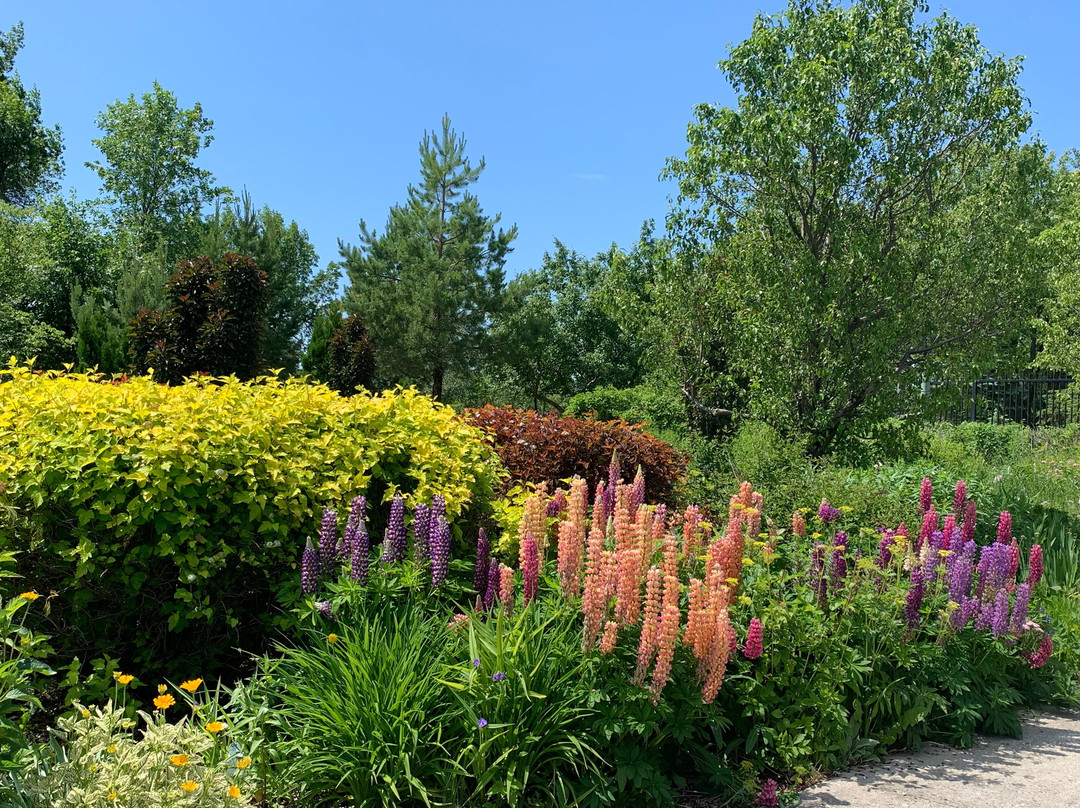 Killarney Wilderness Inn主图