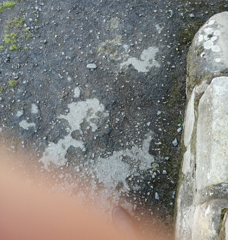 Kimmerston Riding Centre-Wooler必去景点