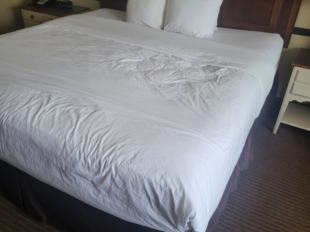 普罗沃万豪酒店及会议中心主图