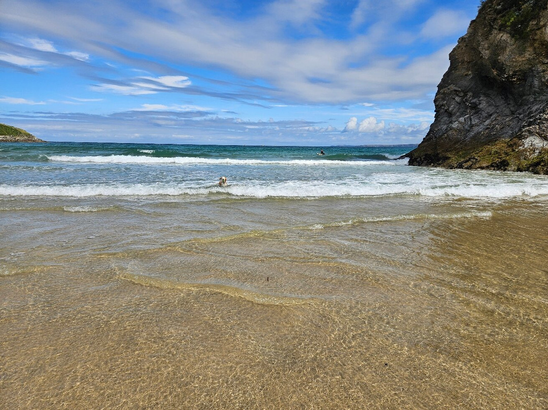 Great Western Beach-纽奎必去景点