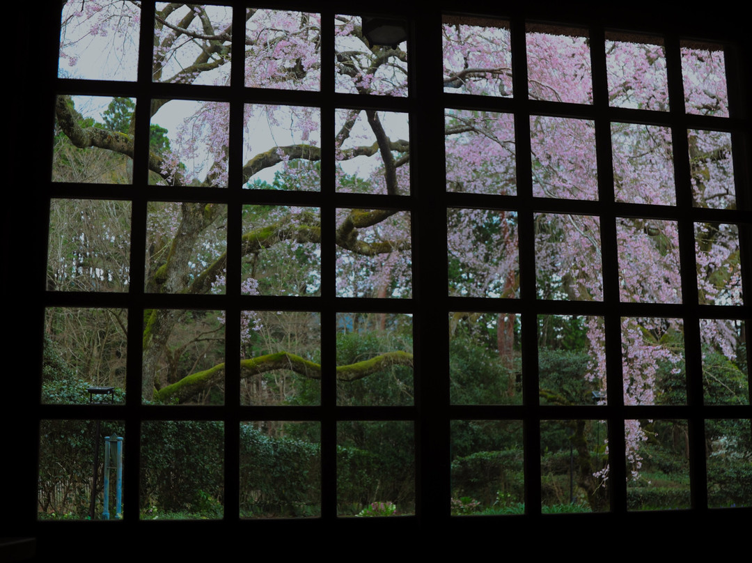 Chichibunomiya Memorial Park景点图片