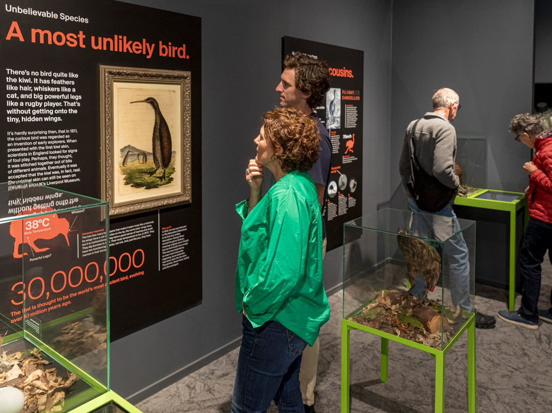 The National Kiwi Hatchery Aotearoa-罗托鲁瓦必去景点