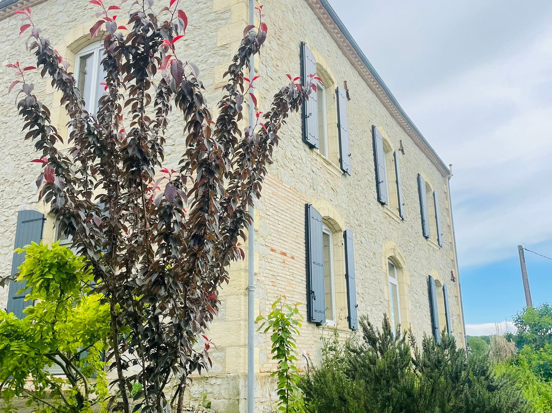 Domaine Les Courteaux主图