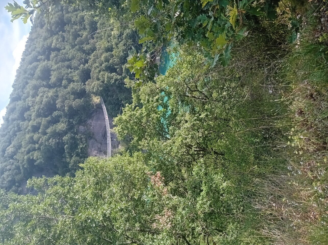 Passerelle Himalayenne du Drac景点图片