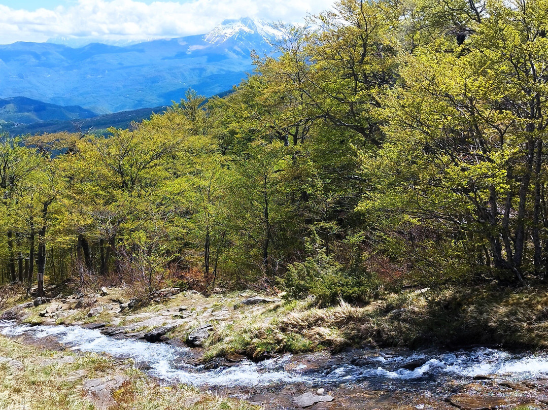 Valle delle Cento Cascate-Cesacastina必去景点
