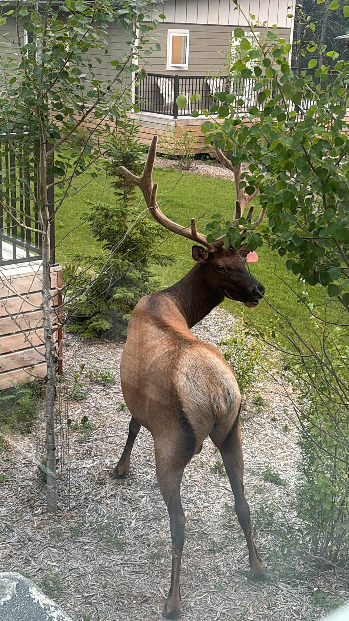 Kapasiwin Bungalows-官方
