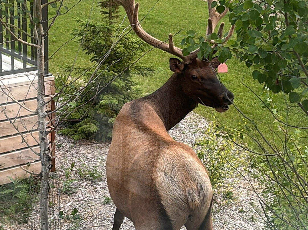 Kapasiwin Bungalows主图