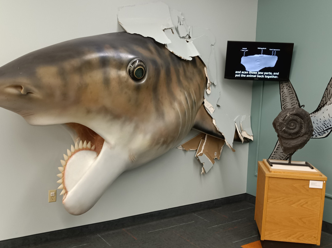 Idaho Museum of Natural History-波卡特洛必去景点