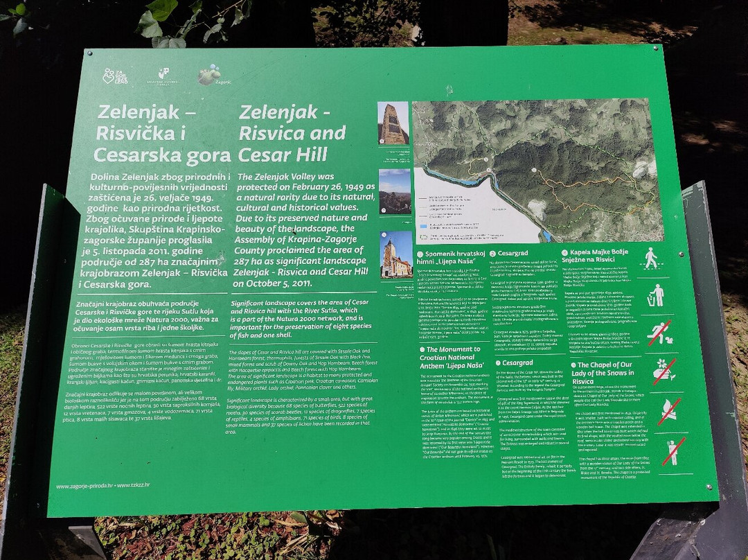 The Path Through The Treetop Zelenjak景点图片