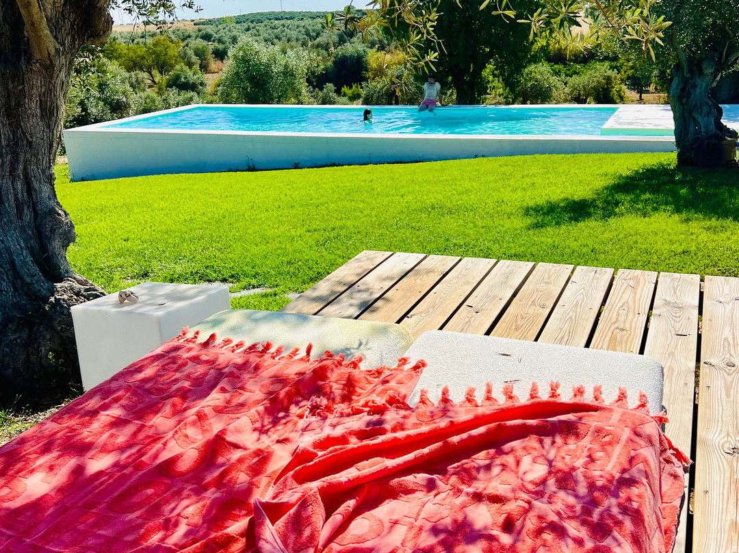 Monte Falperras主图