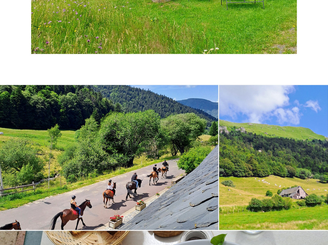 Auberge des Mancelles主图