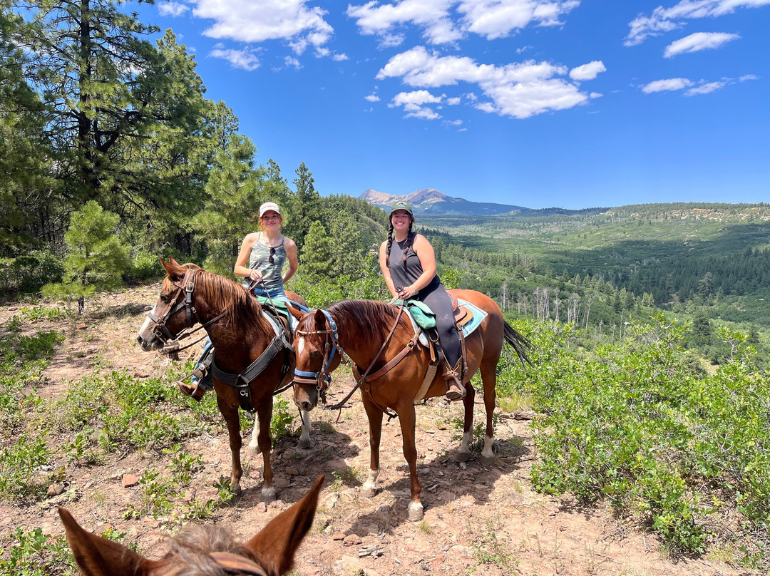 Mountain Joe's Trail Rides-La Sal必去景点
