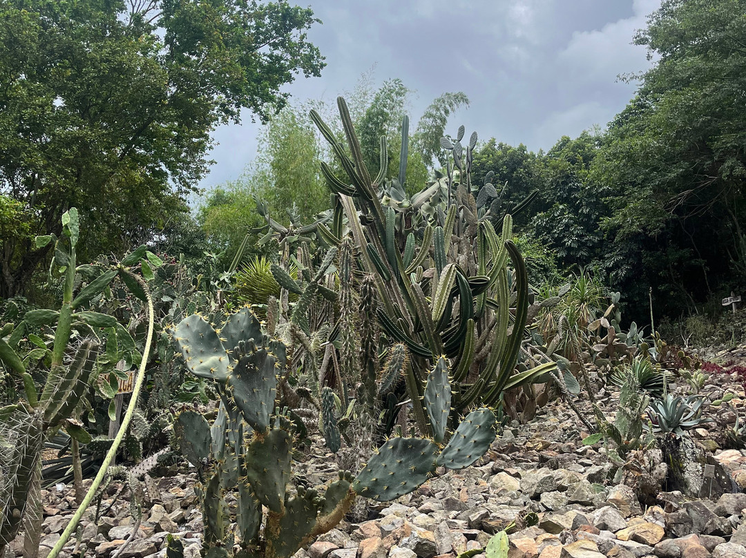 Agro Parque Sabio Mutis景点图片