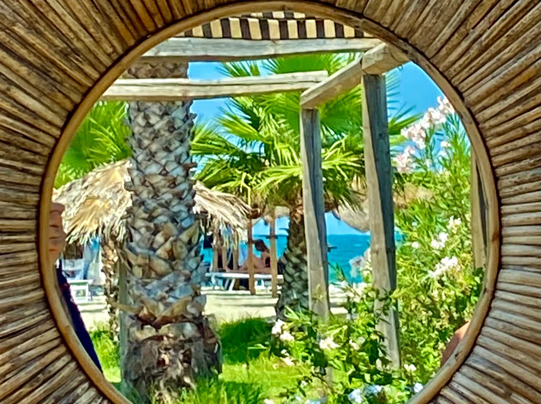 B&B Fenicottero Rosa主图