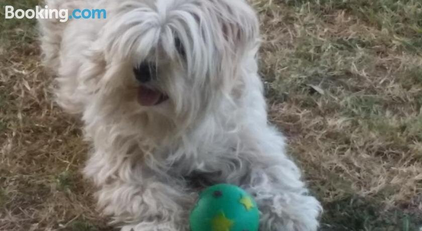 A Country View Motel - Ilbilbie主图