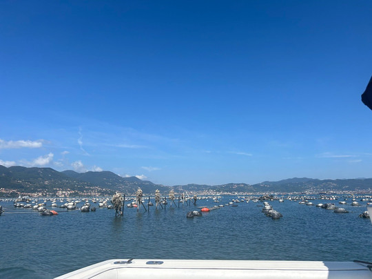 Blue Boat Cinque Terre-拉斯佩齐亚必去景点