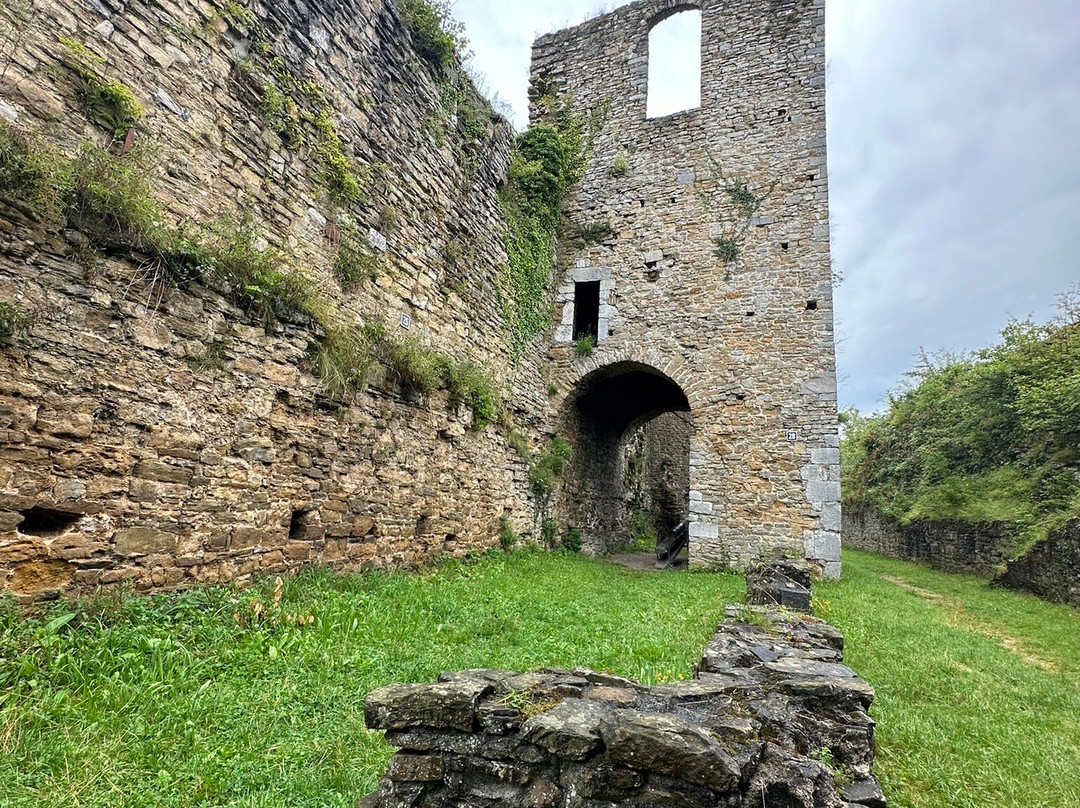 Chateau de Franchimont景点图片