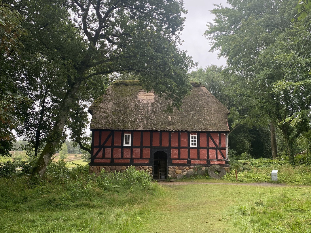 Frilandsmuseet Hjerl Hede景点图片
