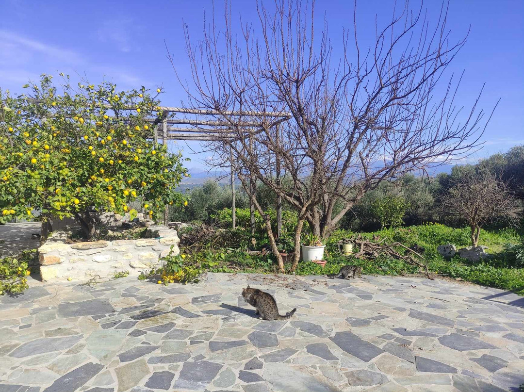 Villa Serapis Aletraki Off grid