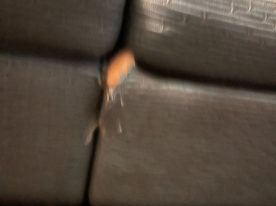 SpringHill Suites Mystic Waterford主图