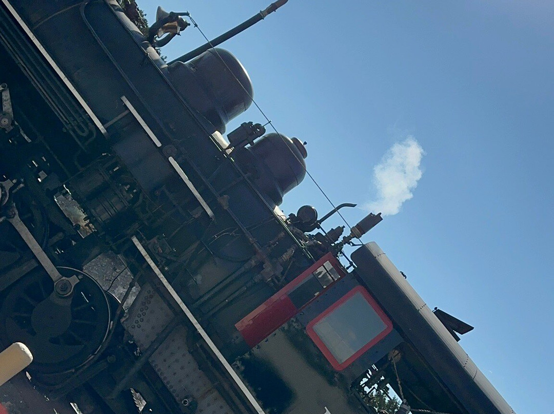 Virginia and Truckee Railway-卡森城必去景点