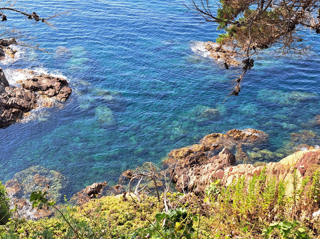Cala de Sant Francesc景点图片
