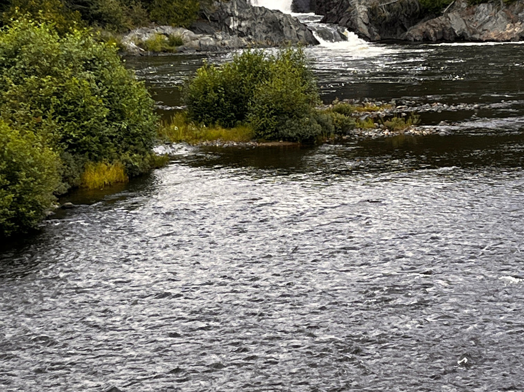 High Falls Motel and Cabins主图