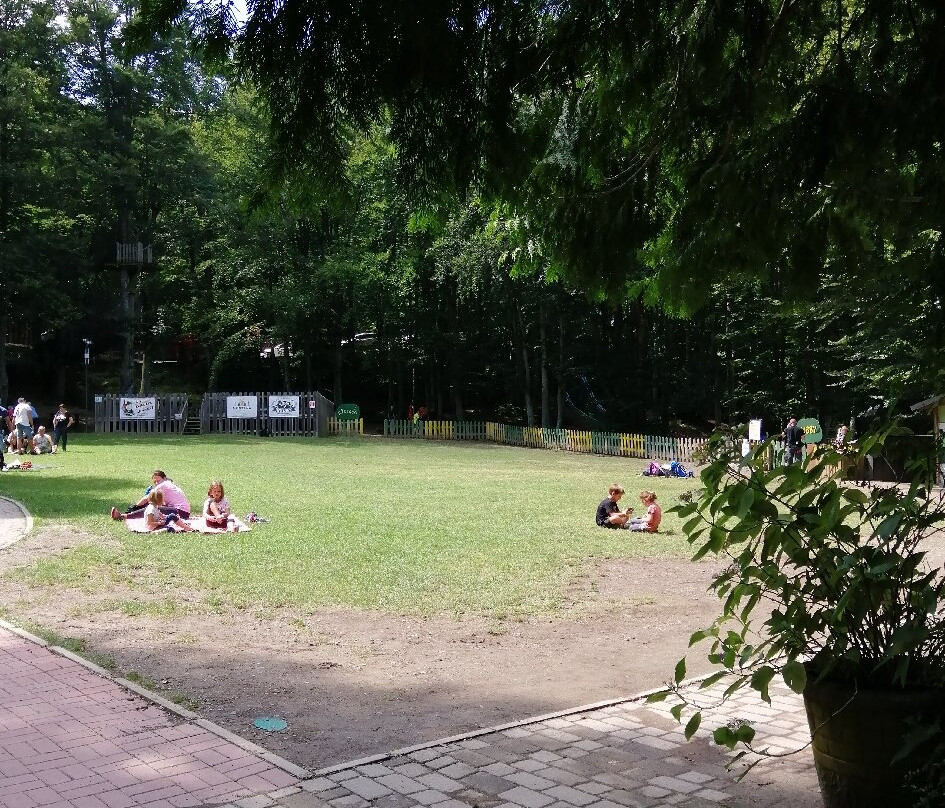 Cerwood景点图片