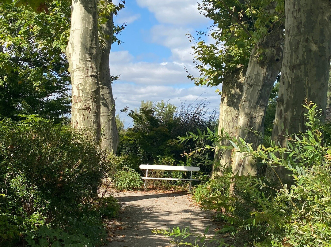 Château Le Pape主图