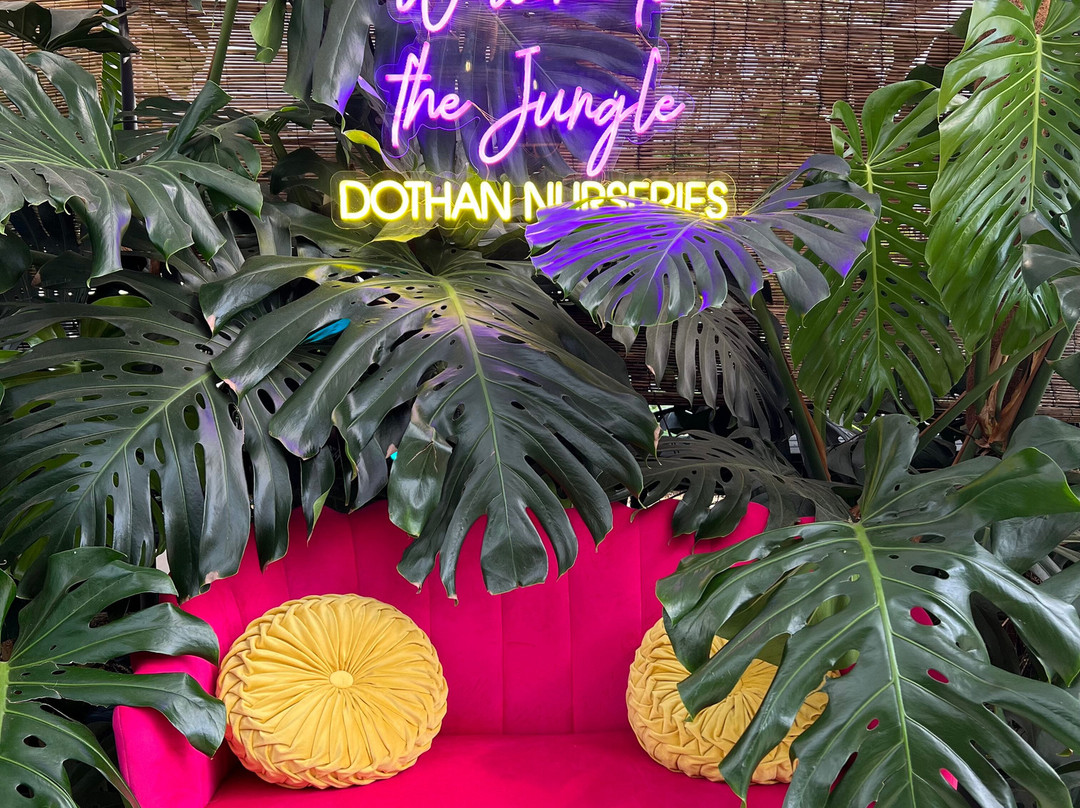 Dothan Nurseries Greenhouse, Gardens, and Gifts-多森必去景点