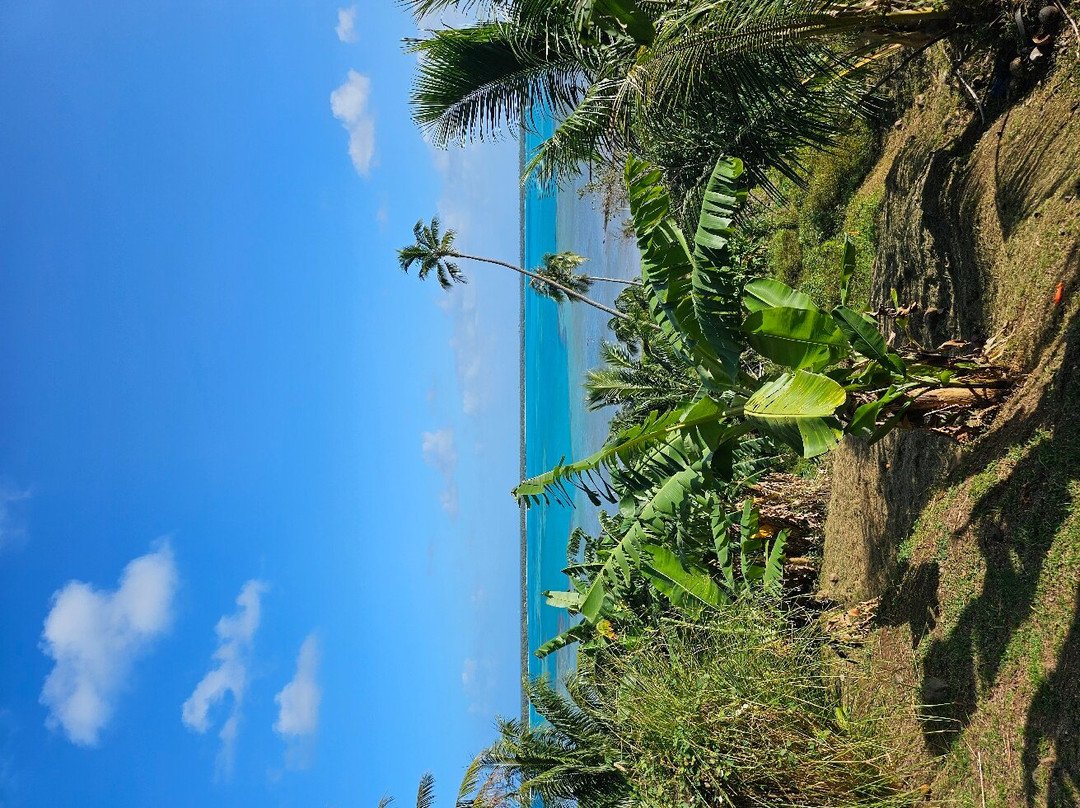 Pension Tautiare Village主图