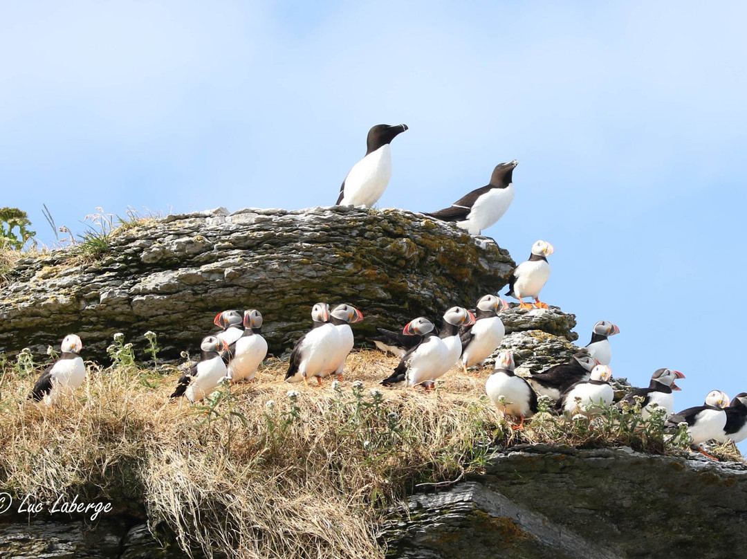Tourisme Loiselle-Longue-Pointe-de-Mingan必去景点