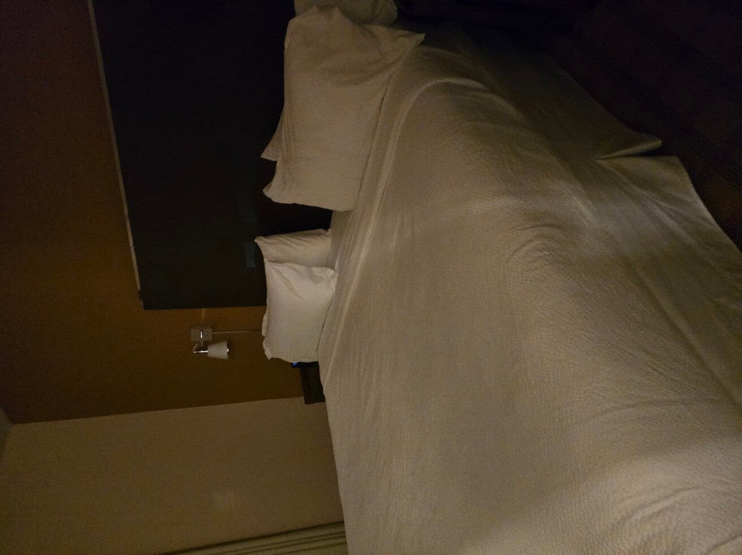 Four Points by Sheraton Edmonton International Airport主图