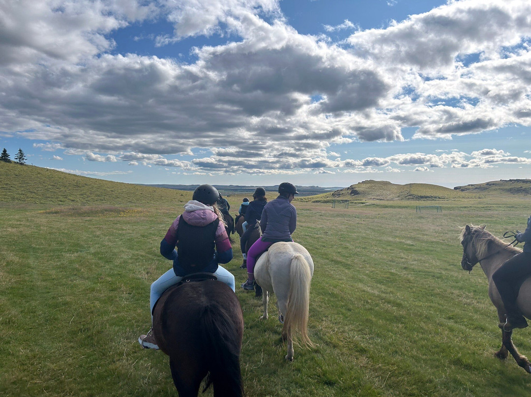Riding Tours South Iceland-Fludir必去景点