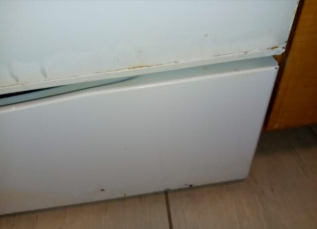 Club Wyndham Ocean Boulevard主图