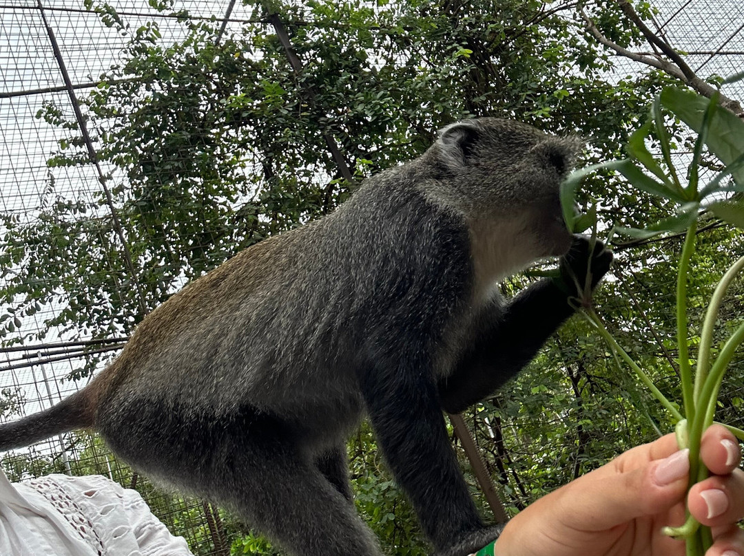 Zanzibar Kilosas Conservation-孥归必去景点